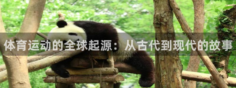 意昂23登录：体育运动的全球起源：从古代到现代的故事