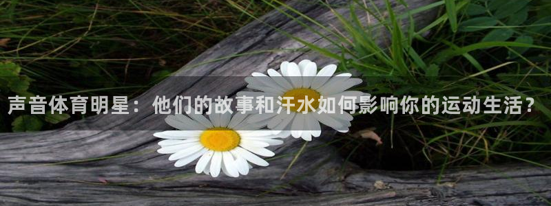 意昂代理注册官网入口：声音体育明星：他们的故事和汗水如何影响你的运动生活？