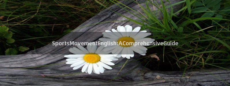 意昂3平台登录注册：SportsMovementEnglish:AComprehensiveGuide